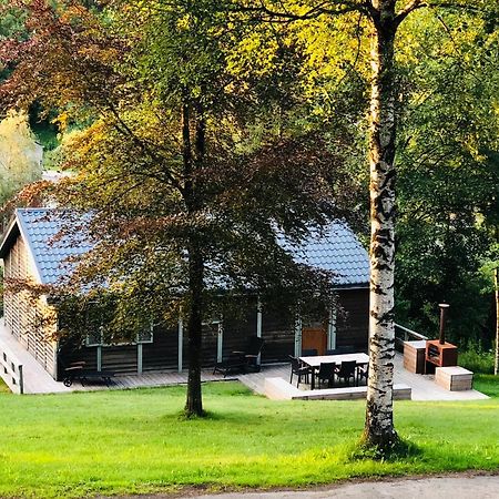 Fwv Chalet 2 Le Scandinave Bullange Bagian luar foto
