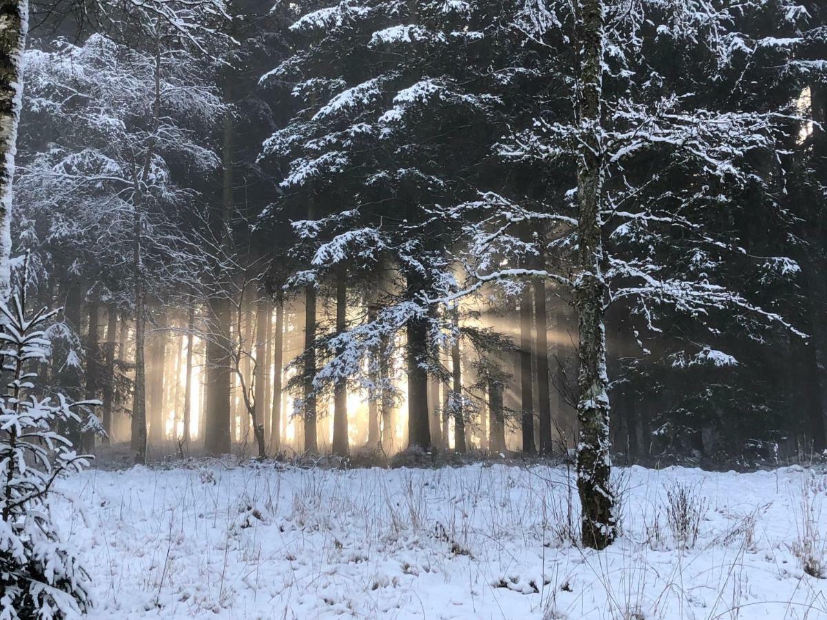 Fwv Chalet 2 Le Scandinave Bullange Bagian luar foto